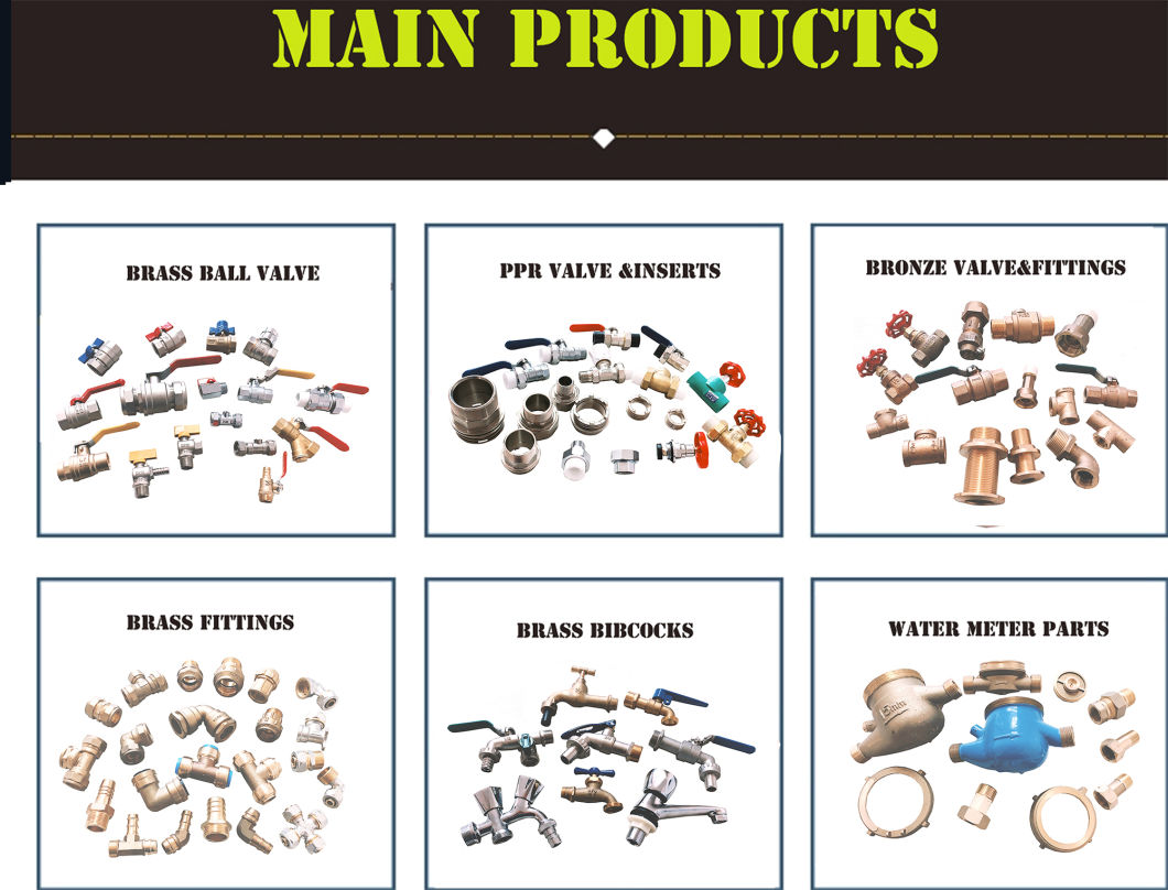 ذكر الخيوط PPR Union تركيبات النحاس PPR Pipe Fittings